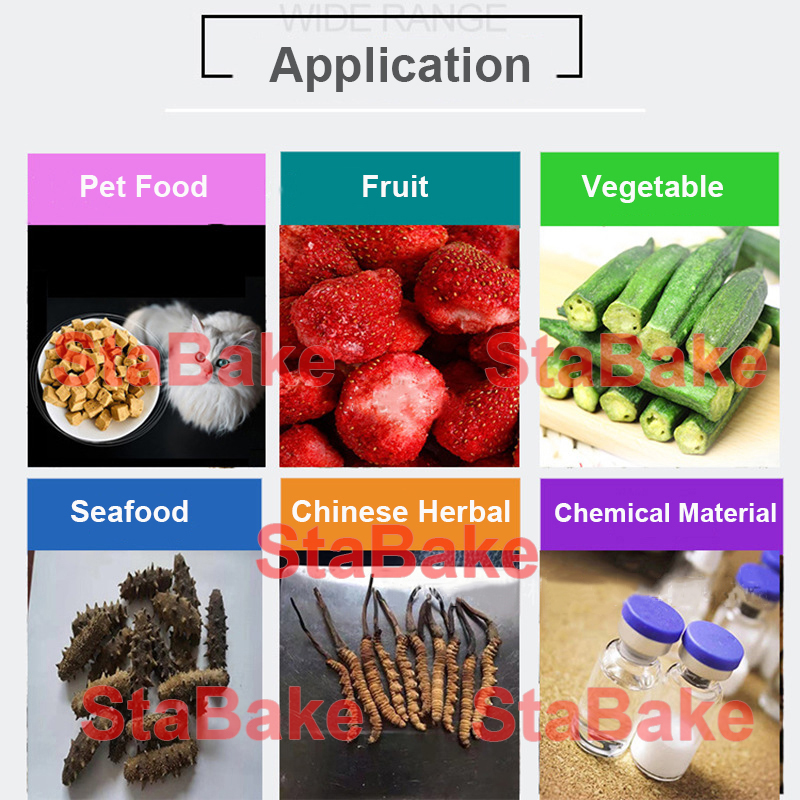 Область применения морозильной вакуумной сушильной машины