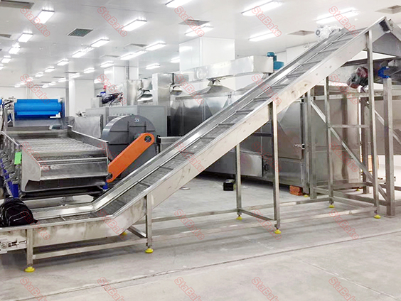 Линия по производству замороженного картофеля фри в Египте